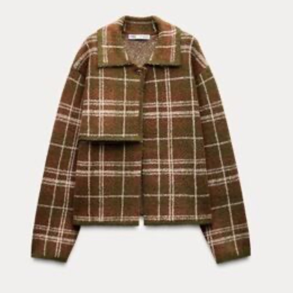 Zara Sweater/Cardigan Plaid Large